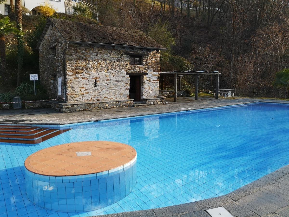 1 Zimmer Apartment Mit Seesicht Und Pool Gambarogno Zewnętrze zdjęcie