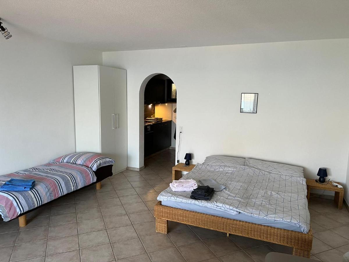 1 Zimmer Apartment Mit Seesicht Und Pool Gambarogno Zewnętrze zdjęcie